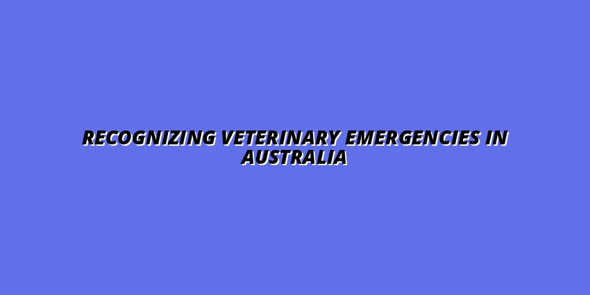 Recognizing Veterinary Emergencies in Australia