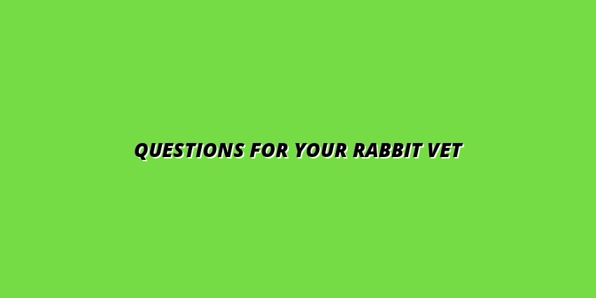 Questions for Your Rabbit Vet