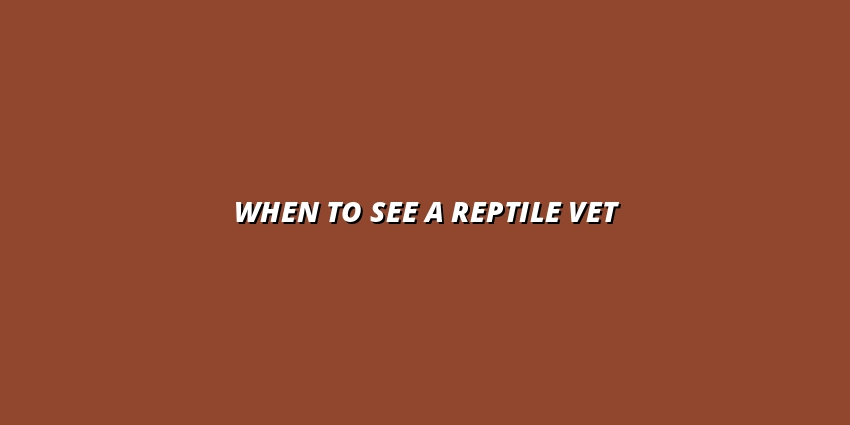 When to See a Reptile Vet
