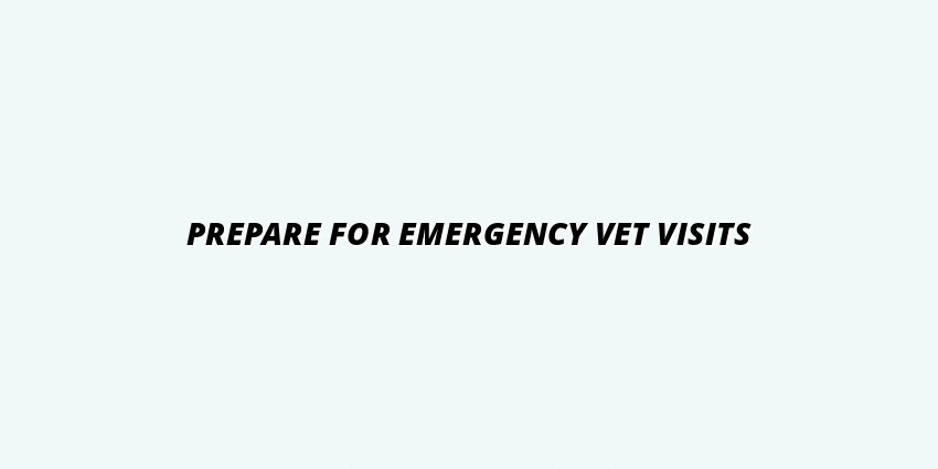 Prepare for Emergency Vet Visits