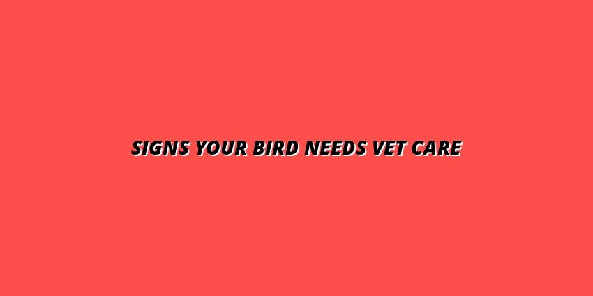 Signs Your Bird Needs Vet Care