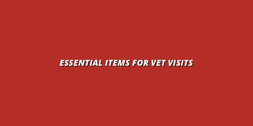 Essential Items for Vet Visits