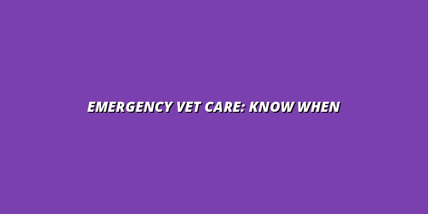 Emergency Vet Care: Know When