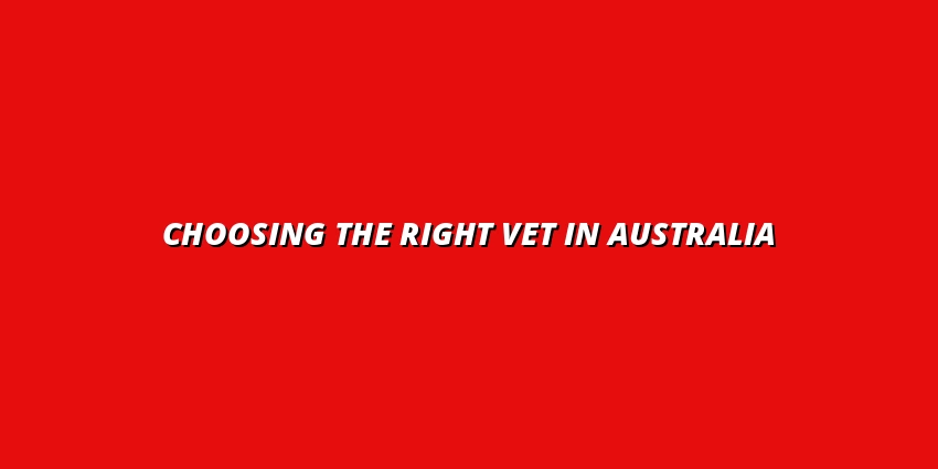 Choosing the Right Vet in Australia