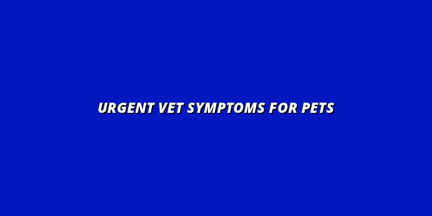 Urgent Vet Symptoms for Pets