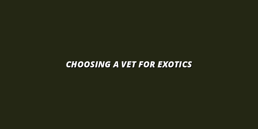 Choosing a Vet for Exotics