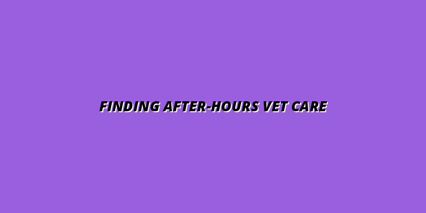 Finding After-Hours Vet Care